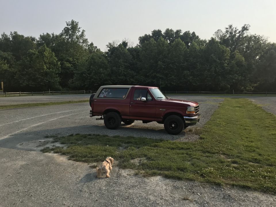 Red Ford Bronco parked on gravel lot with trees in background. Small dog in foreground