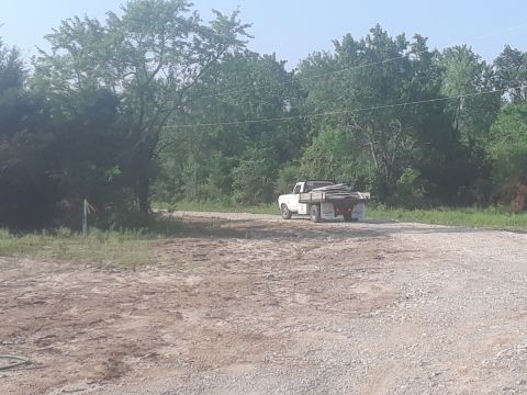 1994 Ford Bronco - A white SUV is seen driving on a dirt road surrounded by trees.