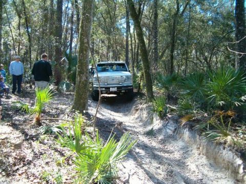 1995 Ford Bronco - White lifted Ford Bronco crawling down a deeply rutted sand trail through palmetto scrub and hardwoods, front tires cocked as it drops into…