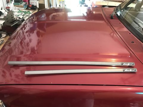 1994 Ford Bronco - Two brushed aluminum trim pieces with black "Eddie Bauer" text are laid out on the hood of a red vehicle. The hood has a reflective surface…