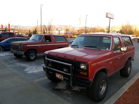 1981 Ford Bronco photo
