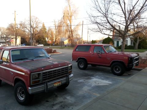 1981 Ford Bronco photo