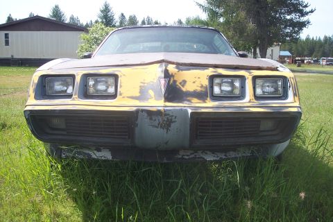 1979 Pontiac Trans Am