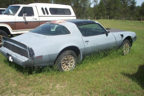 1979 Pontiac Trans Am