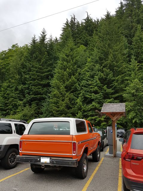 1978 Ford Bronco - The rear view of an orange and white 1978 Ford Bronco parked in a lot with a dense forest in the background. The Bronco has large tires and…