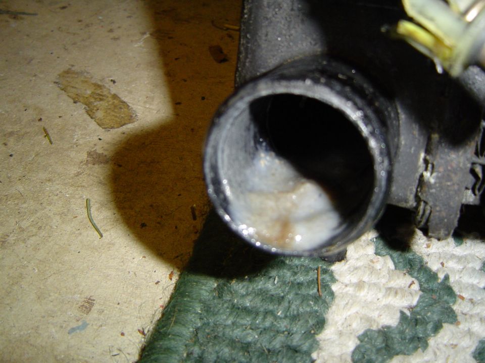 Goo in the radiator