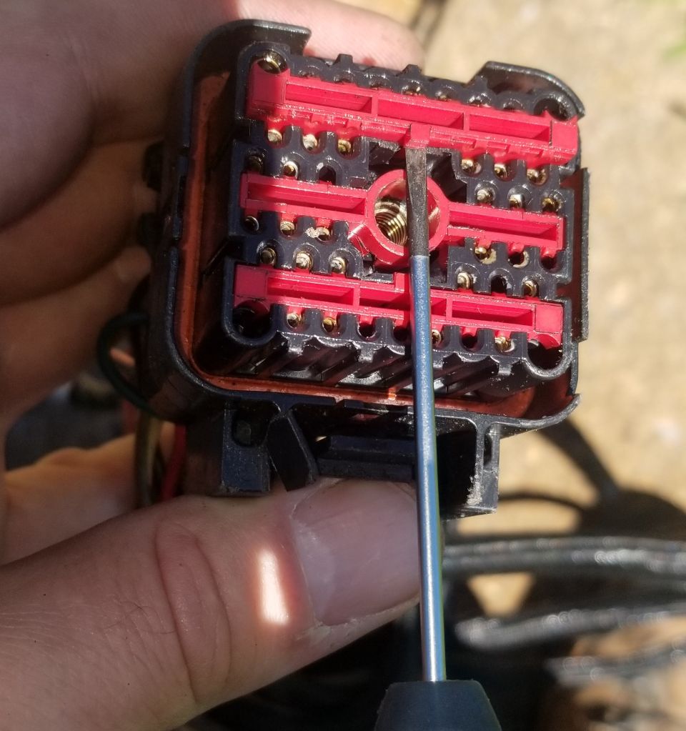 Close-up of a vehicle electrical connector with a screwdriver.
