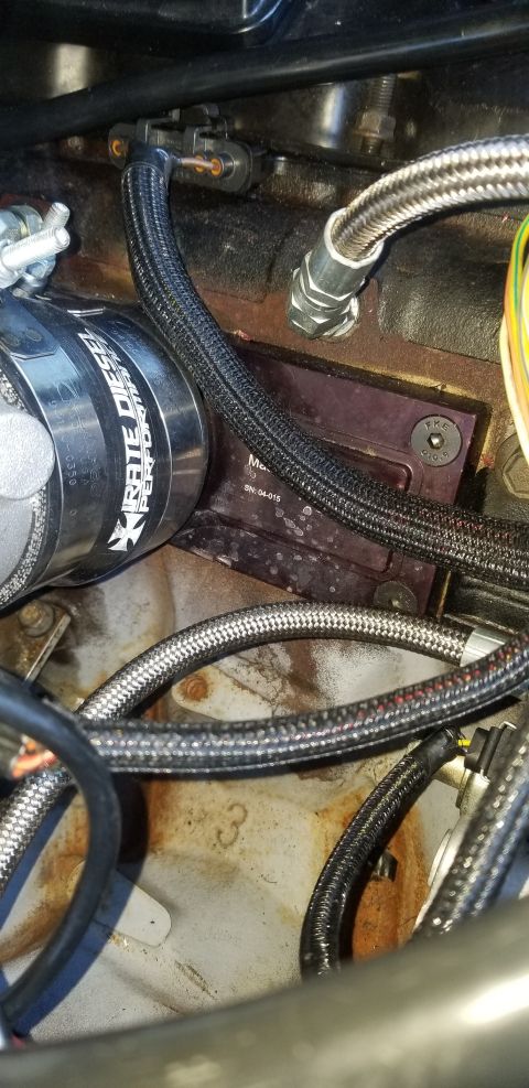 2001 Ford Excursion “Blue Box”
