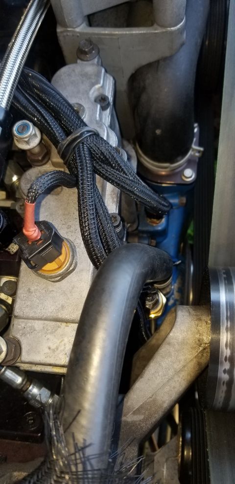 2001 Ford Excursion “Blue Box”