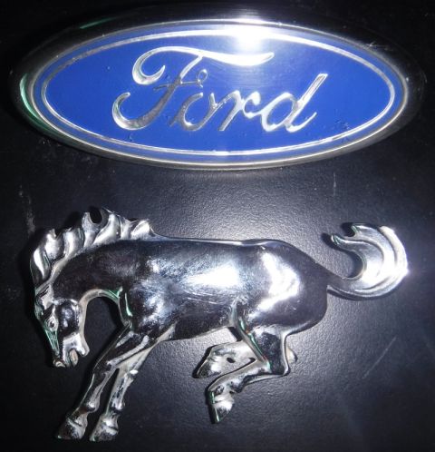 1992 Ford Bronco - Bronco II fender emblem vs '92-96 grille emblem. Hmm...