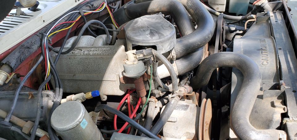 Engine bay with large black hoses, distributor cap, and radiator. Some wires are visible