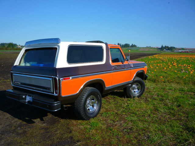 1978 Ford Bronco, orange and brown two-tone, 3q-front view, parked in grassy field with pumpkin patch
