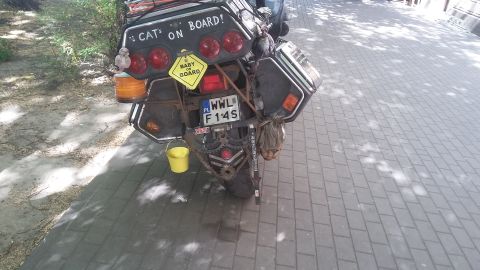 Motorcycle rear with "CAT ON BOARD!" sticker and yellow bucket