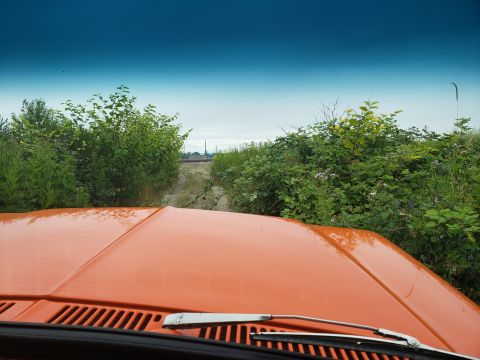 1978 Ford Bronco - View from inside an orange vehicle driving down a muddy path surrounded by greenery.