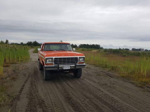 1978 Ford Bronco - This 1978 Ford Bronco is captured from the front on a muddy dirt road, with tall grass lining the path.