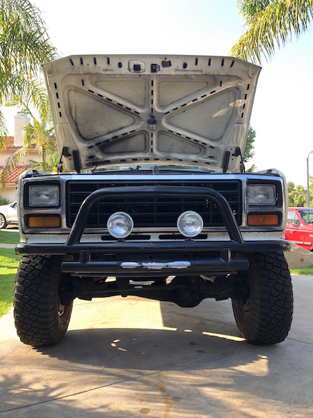 1981 Ford Bronco - Front view of a white 1981 Ford Bronco, an open hood and a protective bull bar on the bumper.