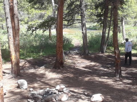 1999 Ford E250 - A person stands in a wooded area next to a fire pit and a stream.