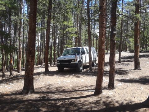 1999 Ford E250 - A white van is parked in a wooded area with tall trees and dappled sunlight.