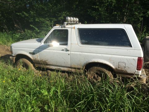1993 Ford Bronco - This white Ford Bronco is stuck in the mud, with tall grass surrounding it.