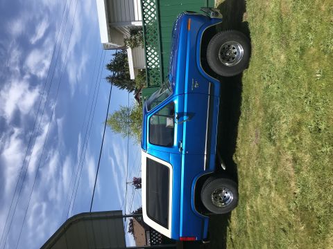 1981 Ford Bronco photo