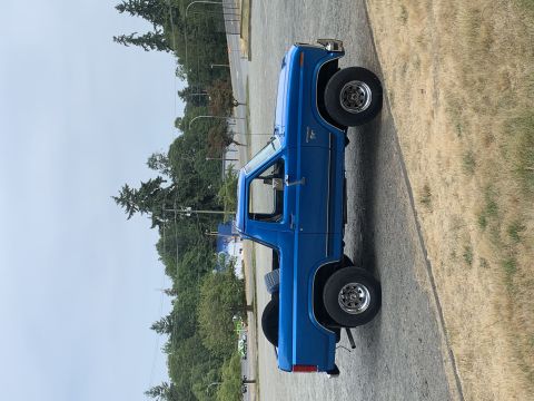 1981 Ford Bronco photo