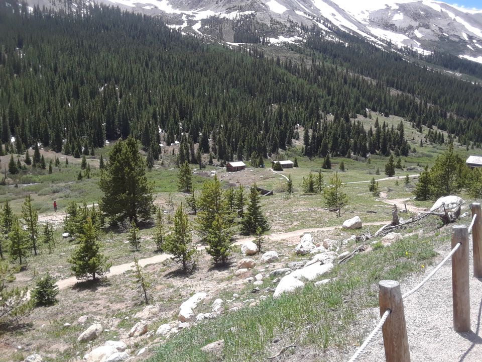 Mountainous landscape with pine forest and cabins