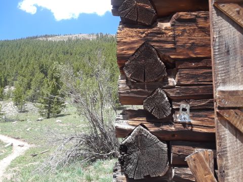 1999 Ford E250 - A rustic log cabin corner stands against a backdrop of dense pine forest and a bright blue sky.