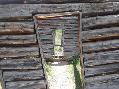 1999 Ford E250 - The weathered logs of an abandoned cabin frame a view of the outdoors through its open doorway.