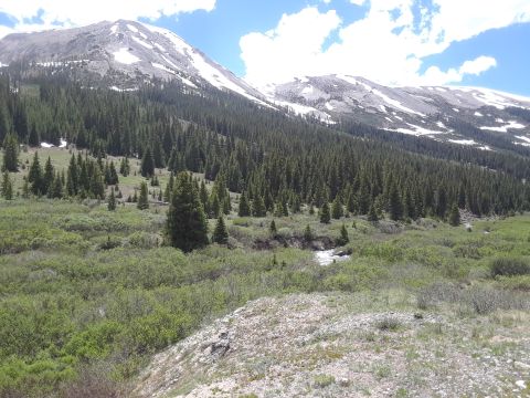 1999 Ford E250 - Mountain landscape with snow-capped peaks, evergreen forest, and a stream.