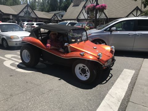 1970 Volkswagen Beetle “Buggy”