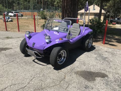 1970 Volkswagen Beetle “Buggy”