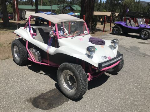 1970 Volkswagen Beetle “Buggy”