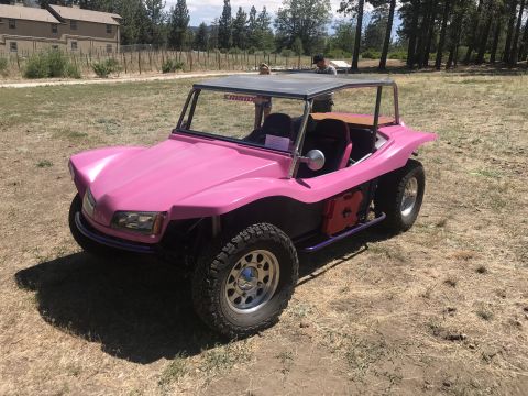 1970 Volkswagen Beetle “Buggy”