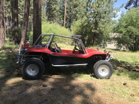 1970 Volkswagen Beetle “Buggy”