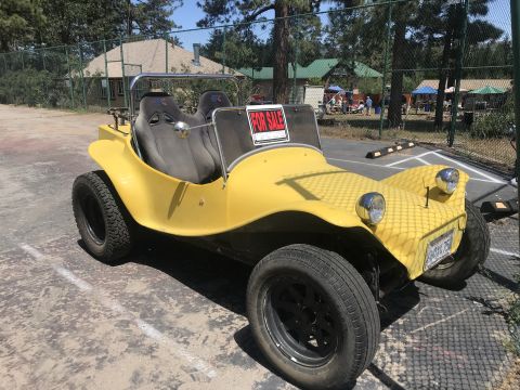 1970 Volkswagen Beetle “Buggy”