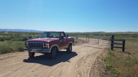 1985 Ford Bronco - A maroon and tan 1980s Ford pickup truck is parked on a dirt road in a rural landscape with a metal gate to the right.