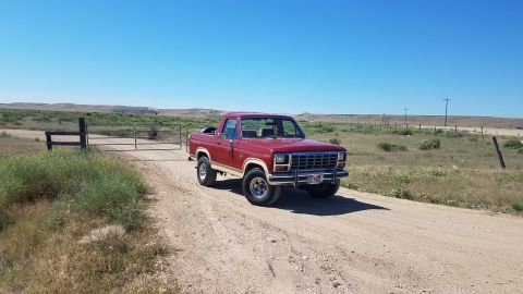 1985 Ford Bronco - A red 1980s Ford pickup truck with a tan stripe is parked on a dirt road in a rural, open landscape under a clear blue sky. A metal gate an…