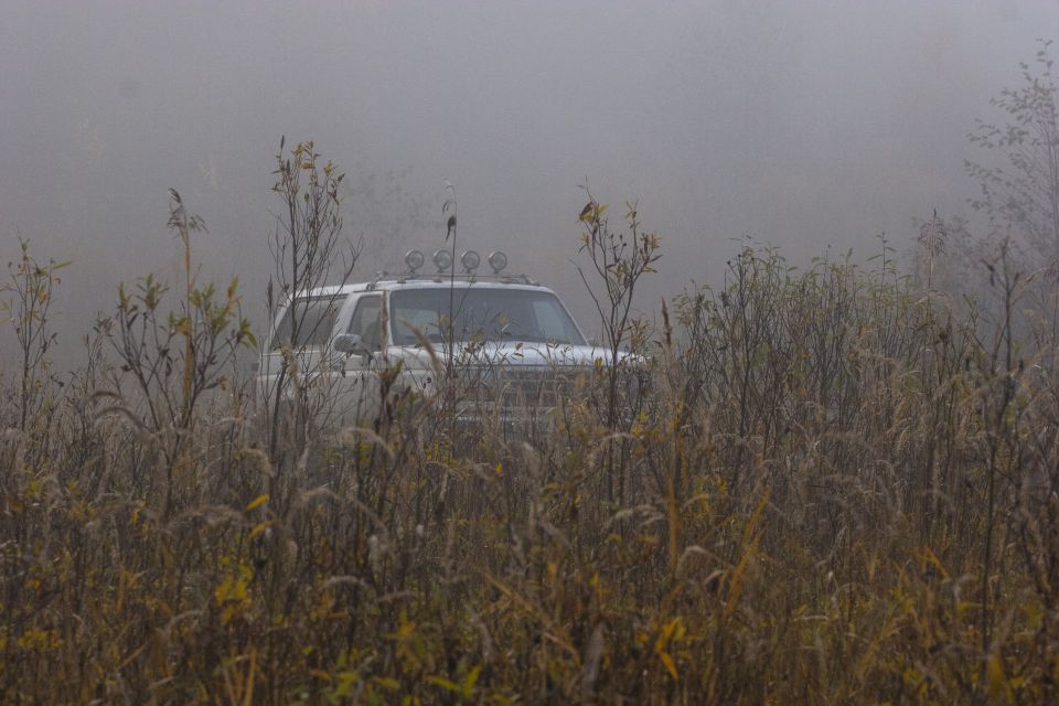 White Ford Bronco with roof lights in foggy, overgrown field.