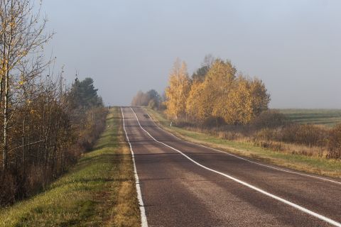 1993 Ford Bronco - A two-lane asphalt road curves uphill through a landscape with trees displaying autumn foliage and bare branches. The sky is overcast and h…