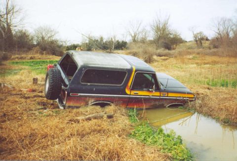 1979 Ford Bronco photo