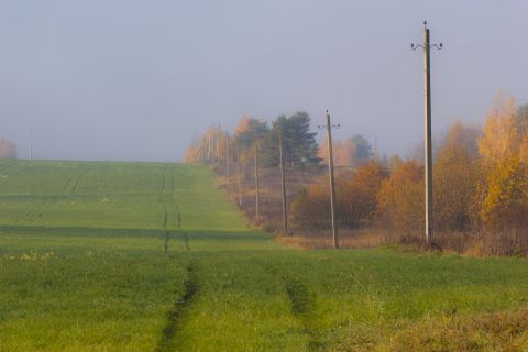 1993 Ford Bronco - A misty autumn landscape with a green field in the foreground and a line of trees with fall foliage in the background. Telephone poles are…