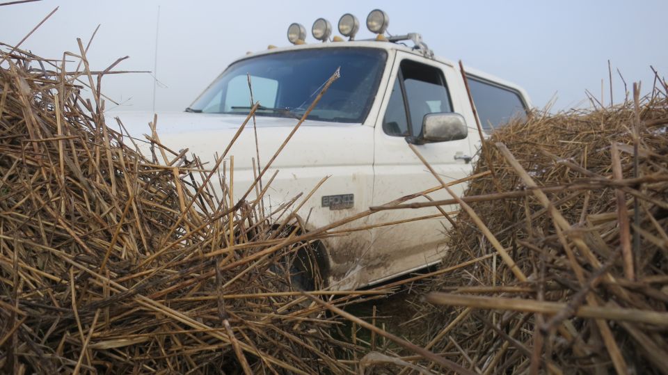 White Ford Bronco partially hidden by dry reeds, with roof-mounted lights.