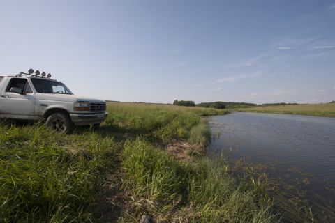 1993 Ford Bronco - A white Ford Bronco is parked on a grassy bank next to a calm body of water under a clear blue sky. The vehicle has four auxiliary lights m…