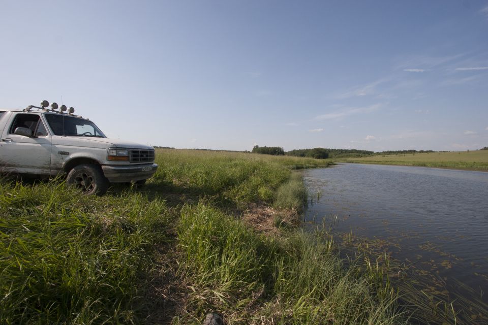 White Ford Bronco parked by a lake on a sunny day.