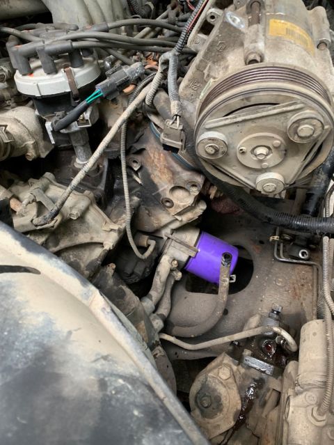 1996 Ford Bronco - Close-up view of an engine bay, highlighting a purple oil filter and the AC compressor.