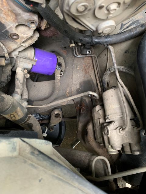 1996 Ford Bronco - Close-up view of engine bay parts including a purple oil filter and hoses.