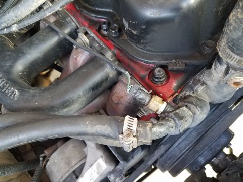 1985 Ford Bronco - Close-up view of engine components, including hoses and a coolant sensor, with visible text on a label.