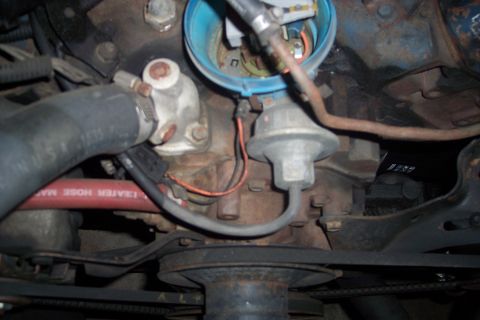 1978 Ford Bronco - Close-up view of an engine's distributor and a red heater hose, with visible text on the hose.