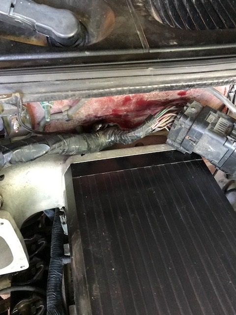 2000 Ford Explorer - A red fluid leak is visible in the engine bay, near the wiring harness and electrical connectors.