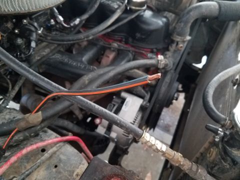 1985 Ford Bronco - Close-up of an engine bay showing exposed wiring and various hoses connected to engine components.